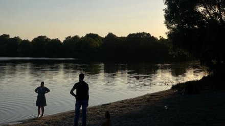 В Воронеже Шиловское озеро станет особой охраняемой природной территорией