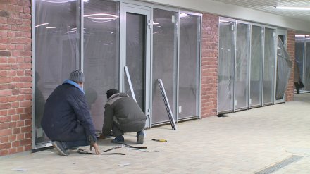Аудиторы проверят сроки реконструкции перехода у воронежского Цирка