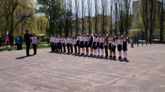 «При +11 в рубашечках и юбочках». Воронежец пожаловался на школу из-за конкурса к 9 Мая
