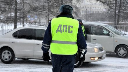 ГИБДД вновь предупредила воронежских автомобилистов о массовых проверках