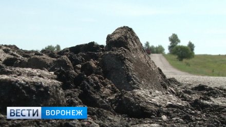На ремонт дорог в восьми районах Воронежской области выделят полмиллиарда рублей