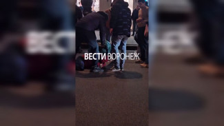 В очередной драке на проспекте Революции в Воронеже оказались замешаны 5 человек