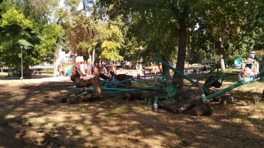 Воронежские воркаутеры забили тревогу из-за сноса площадки для тренировок у цирка