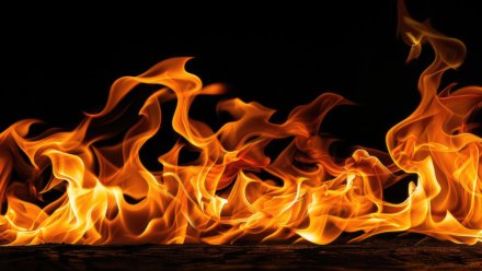 29 спасателей прибыли к горящему автосервису в Воронеже