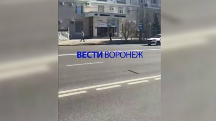 Воронежцам рассказали, почему исчезли делиниаторы с Плехановской