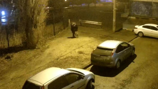 Появилось видео нападения на девушку у «Юбилейного» в Воронеже