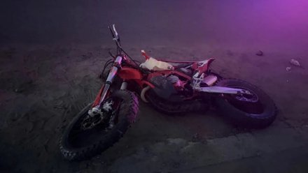 В воронежском селе подросток на питбайке врезался в дерево и погиб