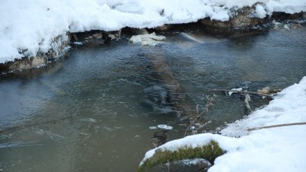 Воронежцам напомнили об опасности весеннего льда на водоёмах