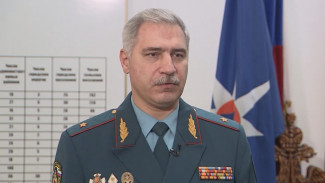 «Ни одного лесного пожара». Воронежские спасатели подвели итоги 2023 года