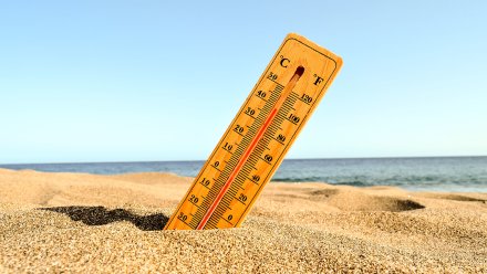 Июльское пекло в Воронежской области побило 71-летний рекорд