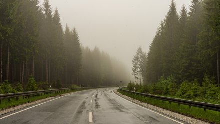 Дожди вернутся в Воронежскую область на новой рабочей неделе