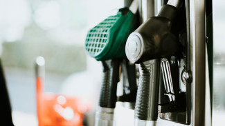 Воронежстат опубликовал актуальные цены на бензин