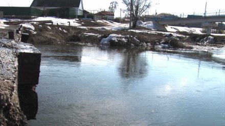 Во время паводка в Воронежской области под воду ушёл мост
