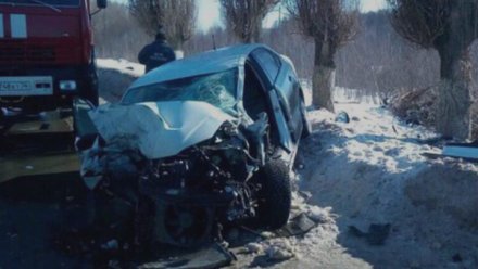 В Воронежской области Volkswagen Polo влетел в дерево: пострадал водитель