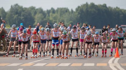Лыжероллерную трассу в парке Воронежской области возведут мостостроители