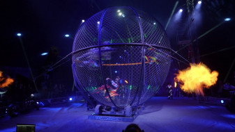 Воронежцы оказались недовольны отменой выступления цирка Демидовых