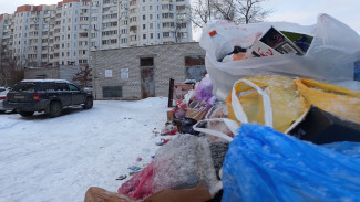 Воронежцы пожаловались на заваленные отходами контейнерные площадки в Советском районе