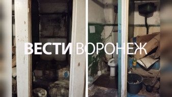 Плесень, опасная проводка и крысы. Воронежцы сняли на видео ужасное общежитие