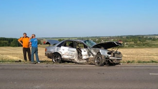 В Воронежской области в лобовом ДТП пострадали два человека