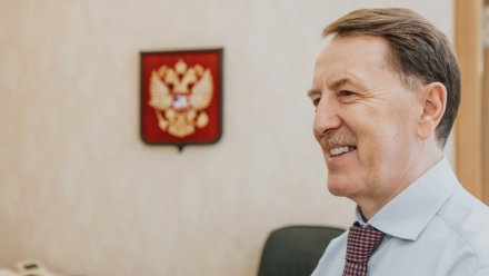Поступления в бюджет Воронежской области выросли на 17%