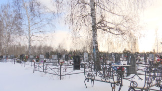 В похоронном деле – бардак. Воронежцам назвали главные проблемы городских кладбищ