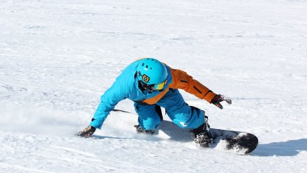 На месте популярного горнолыжного клуба под Воронежем могут появиться коттеджи