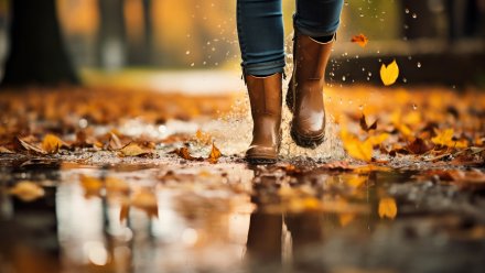 Потепление и дожди спрогнозировали в выходных в Воронеже