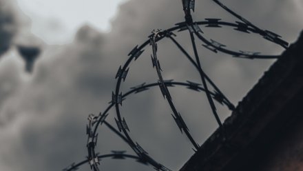 31-летнего воронежца приговорили к колонии за госизмену и экстремизм