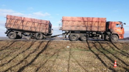 На трассе в Воронежской области столкнулись грузовики из Курска и Белгорода