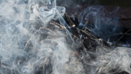 Вольер для животных сгорел в парке-отеле «Дивный» под Воронежем