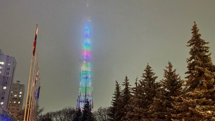 Воронежская телебашня озарится подсветкой в канун Нового года