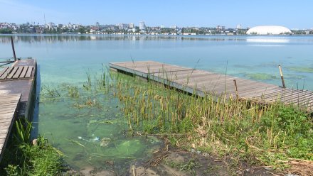 Росприроднадзор отреагировал на слив фекалий в воронежское водохранилище