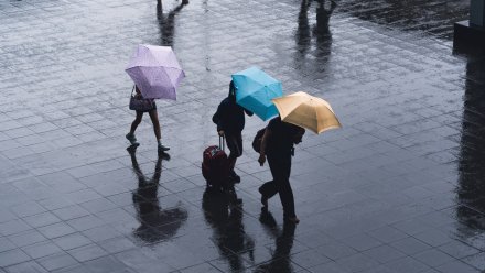 Дожди и сильный ветер пообещали синоптики в выходные в Воронежской области