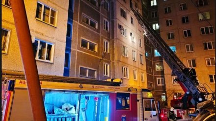 19 человек эвакуировали из горящего в Воронеже дома на улице Туполева