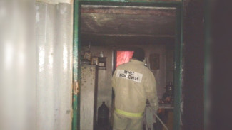 Труп пенсионера нашли на месте пожара в Нововоронеже