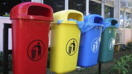 В воронежских дворах появятся разноцветные мусорные контейнеры
