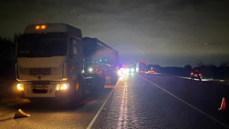 Под Воронежем сбитую на трассе женщину переехала легковушка
