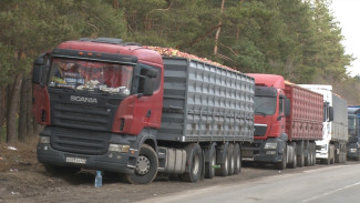 Вереница грузовиков с яблоками застряла в воронежском Таврово