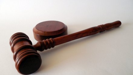 Заместители воронежского министра финансов попали под суд за растрату