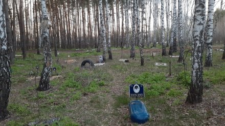 Кладбища домашних животных в лесах рассорили воронежцев