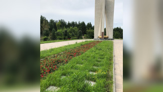 Воронежских активистов вновь возмутило состояние братской могилы в «‎Песчаном логу»
