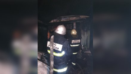 Труп мужчины обнаружили в сгоревшем частном доме в Новоусманском районе
