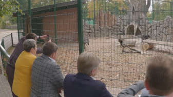 Пенсионеры смогут бесплатно посетить Воронежский зоопарк