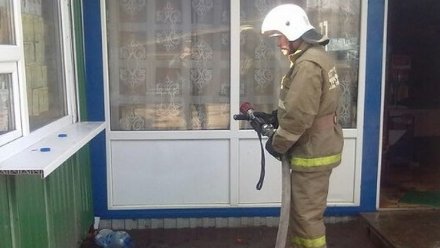 В Воронежской области произошёл пожар на базе отдыха