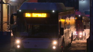 На улицы Воронежа вышли ещё 15 низкопольных больших автобусов