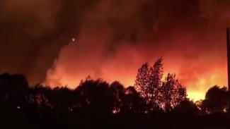 Воронежская прокуратура проверит версию поджога при крупных пожарах в 4 районах области