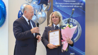 Воронежские ревизоры отметили 100-летний юбилей работы ведомства