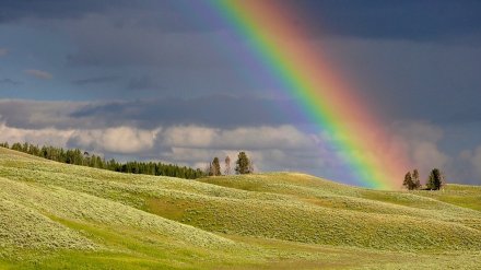 Дожди с грозами вернутся в Воронежскую область на рабочей неделе
