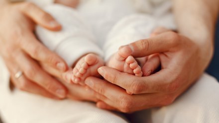 Мэр Воронежа назвал демографическую ситуацию в городе тревожной