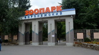 В воронежском зоопарке запустили аудиогид «Звериные истории»